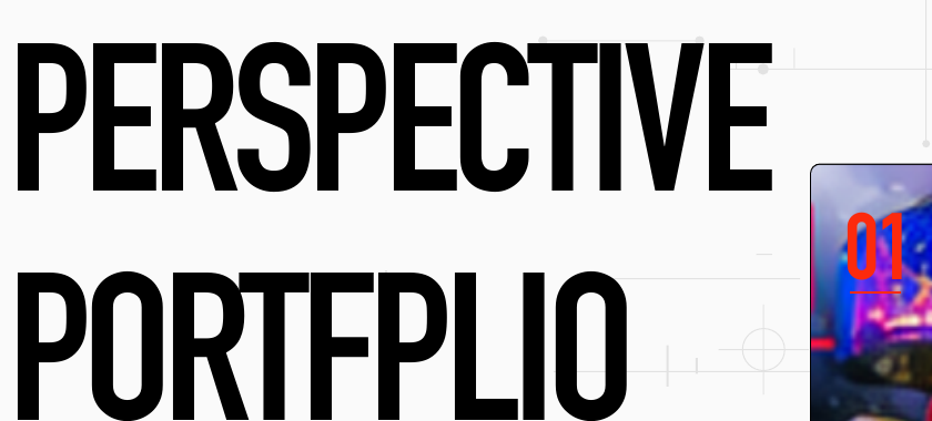 PERSPECTIVE PORTFOLIO